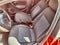 2022 Volkswagen Polo 1.6 Startline Mt