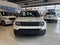 2024 Jeep Renegade 1.3 Sport At