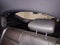 2025 Buick Envista 1.2 Avenir At