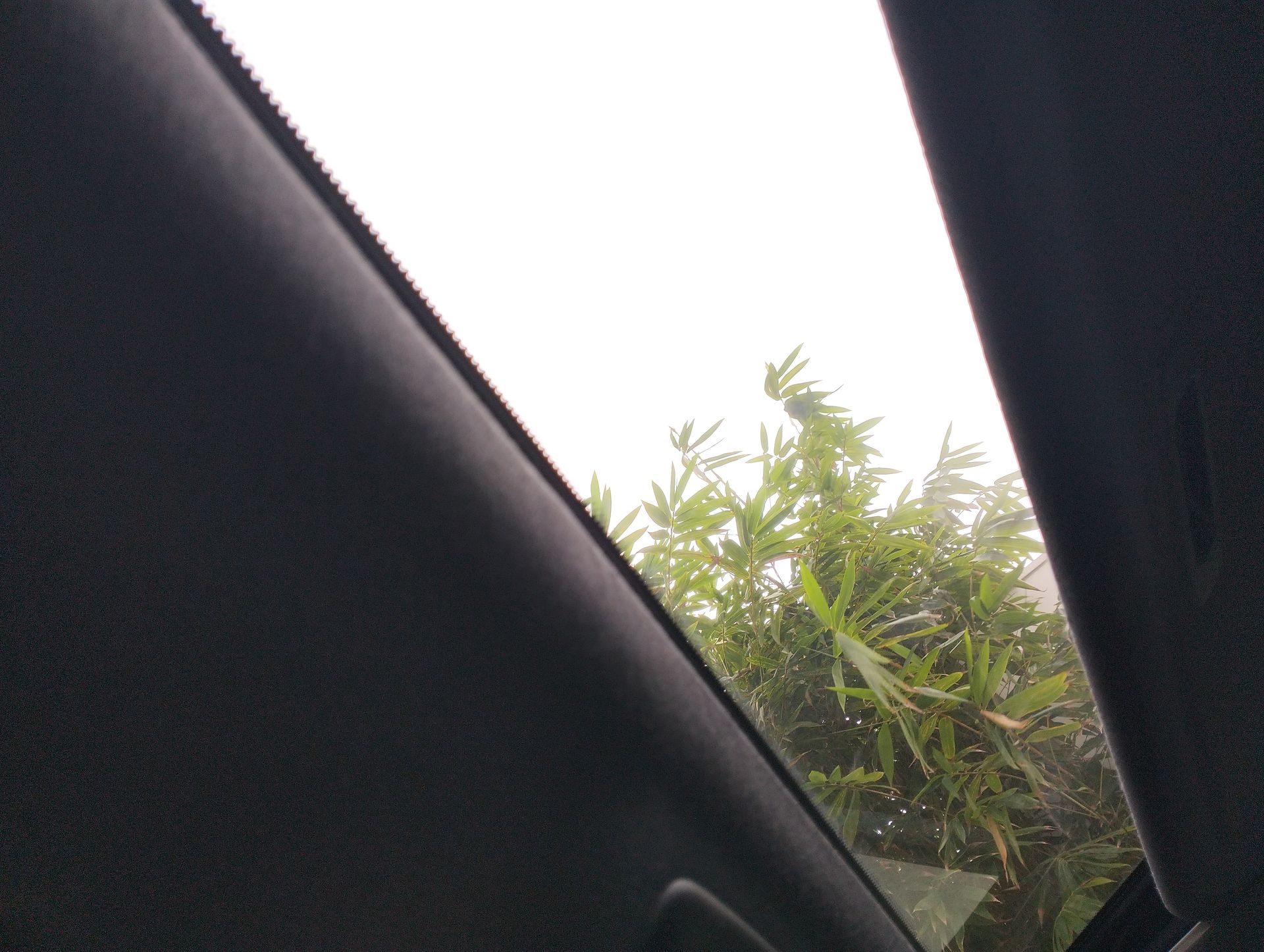 2022 Mazda Mazda 3 2.5 Signature Hb At