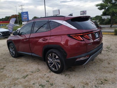 2023 Hyundai Tucson 2.5 Gls Premium At