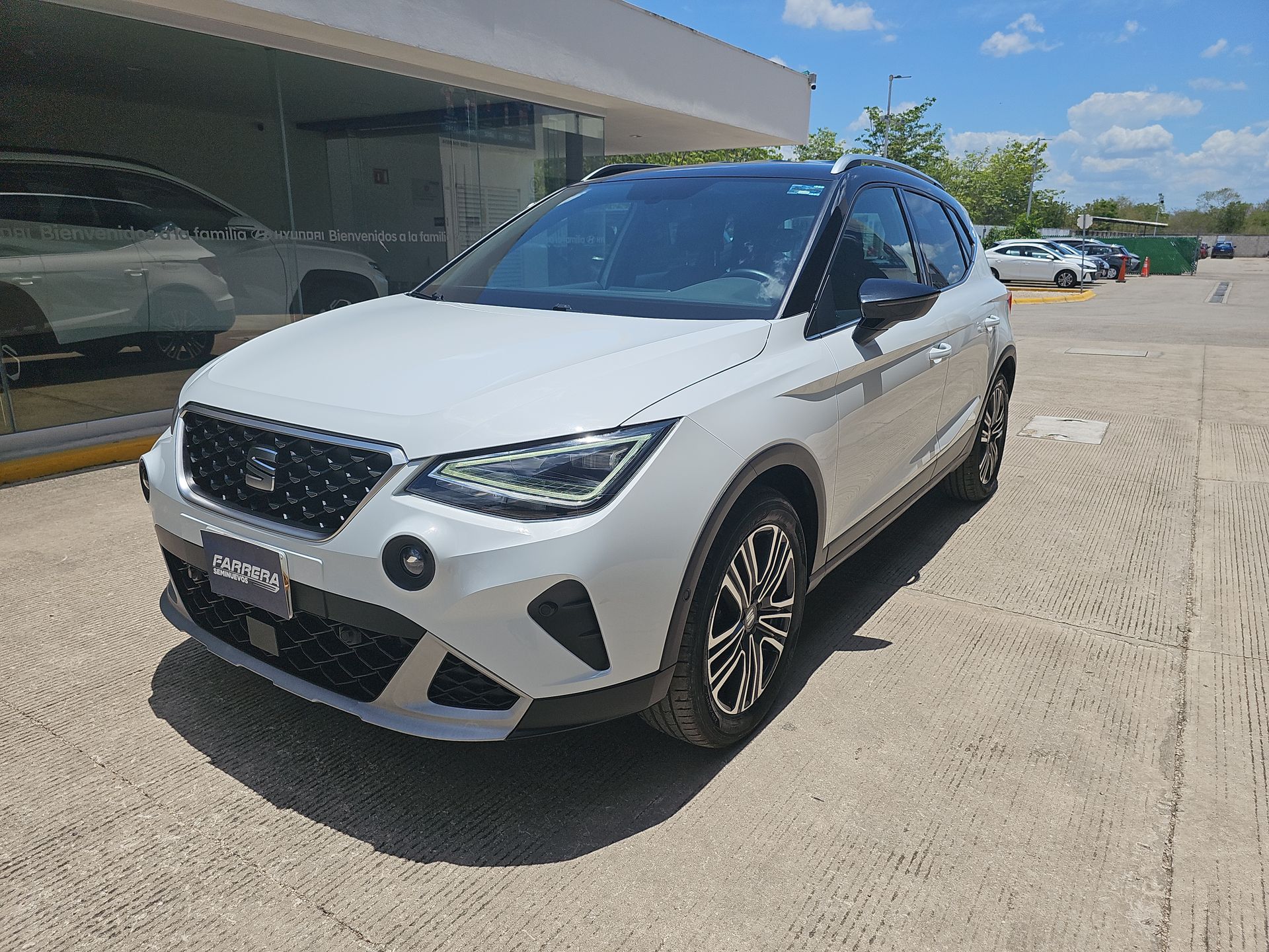 2023 Seat Arona 1.6 Xperience At