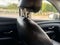 2022 Hyundai Tucson 2.5 Limited At