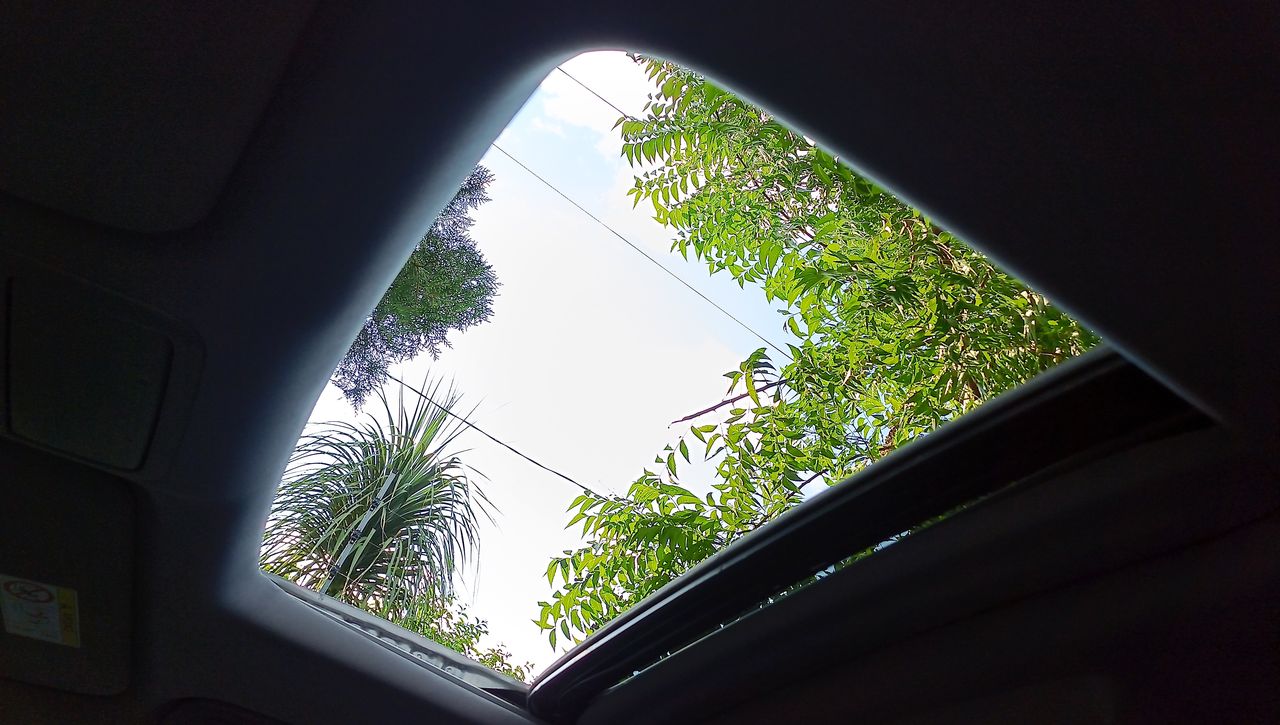 2023 Honda Odyssey 3.5 Touring At