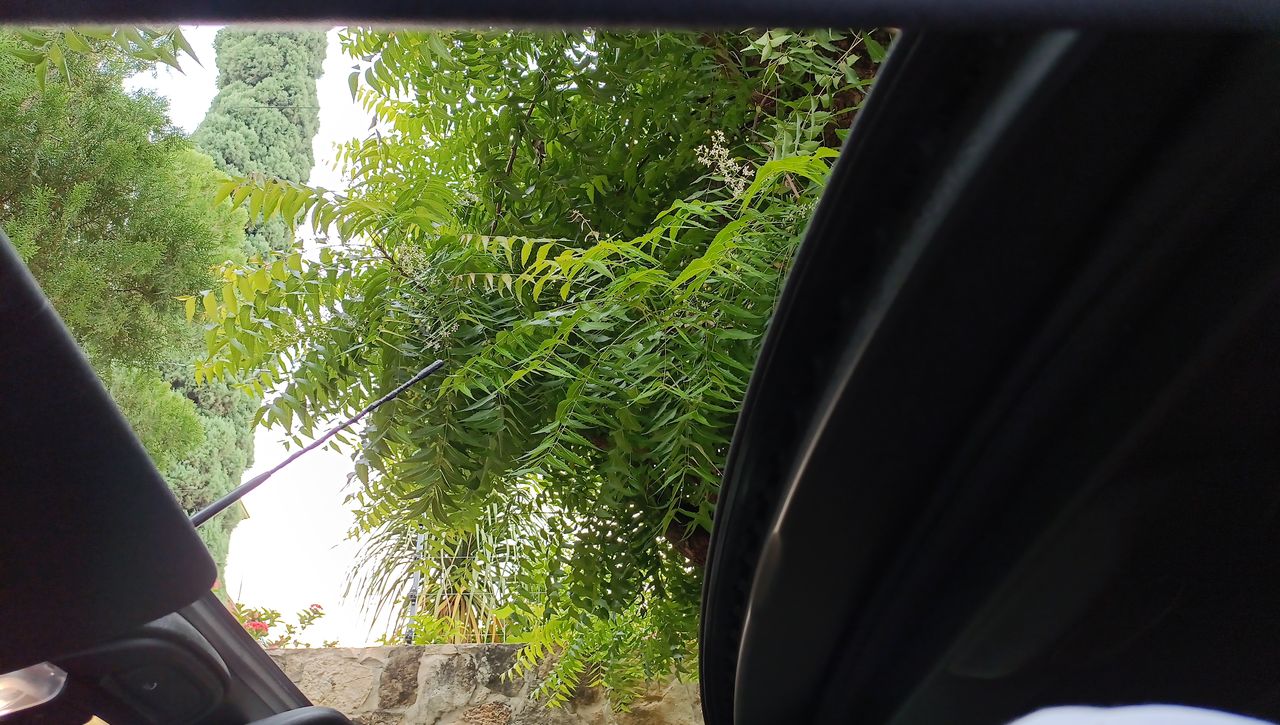 2022 MINI Cooper Convertible Iconic At