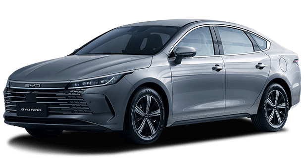 BYD KING DM-I - Group en Gutiérrez, Chiapas
