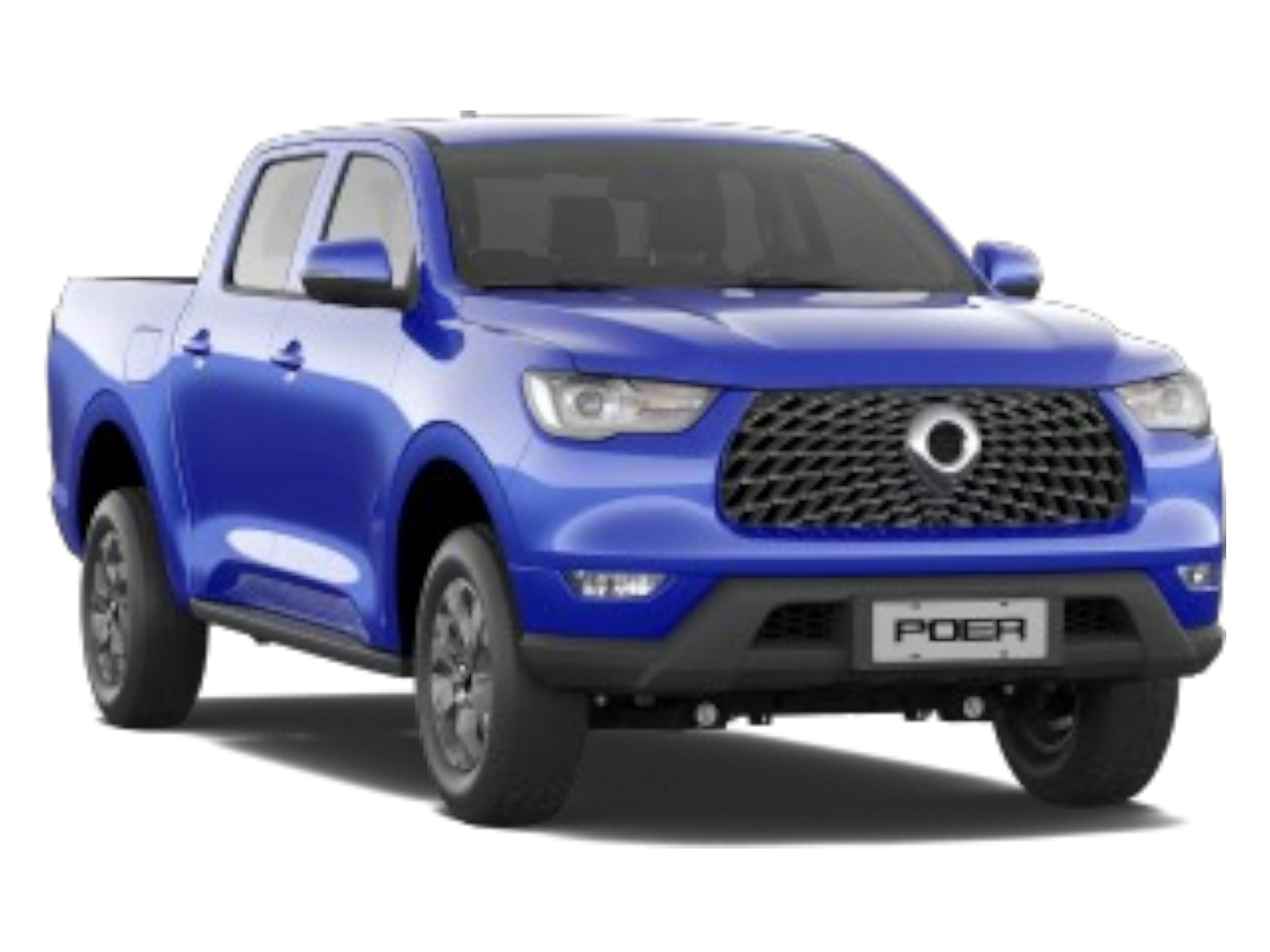 Pickup POER MT - Group en Gutiérrez, Chiapas