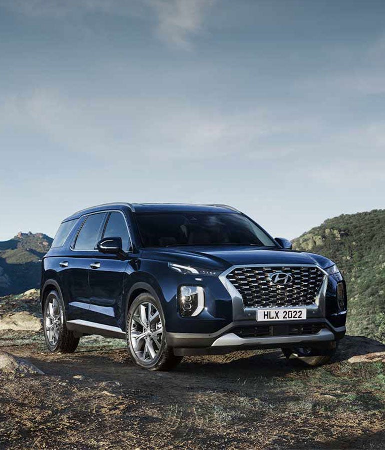 Hyundai Palisade Banner