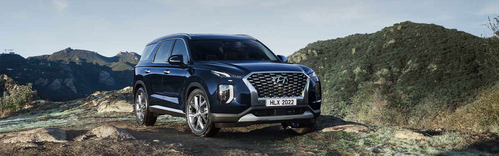 Hyundai Palisade Banner