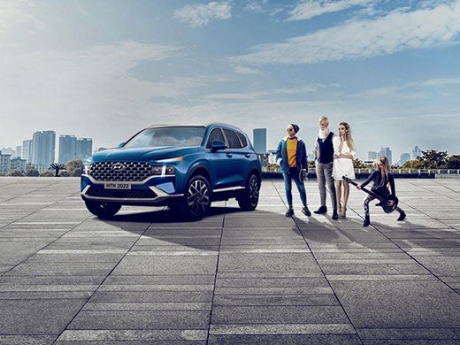 Hyundai SANTA FE
Banner