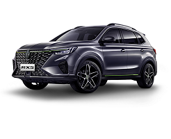 autos RX5 - Group en Gutiérrez, Chiapas