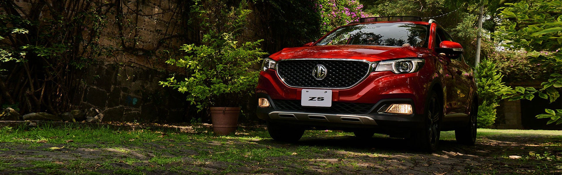 MG ZS Banner