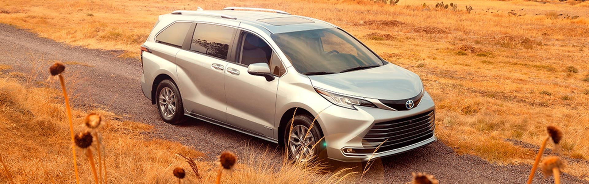 Toyota Sienna Banner